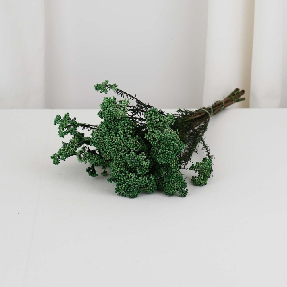 Diosmi Risblomma Grön - Långtidshållbar risblomsbukett