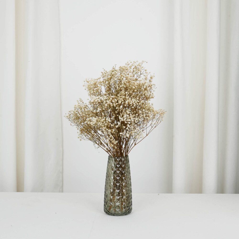 Långtidshållbar brudslöja (gypsophila) i Vit - Bevarat blomsterknippe