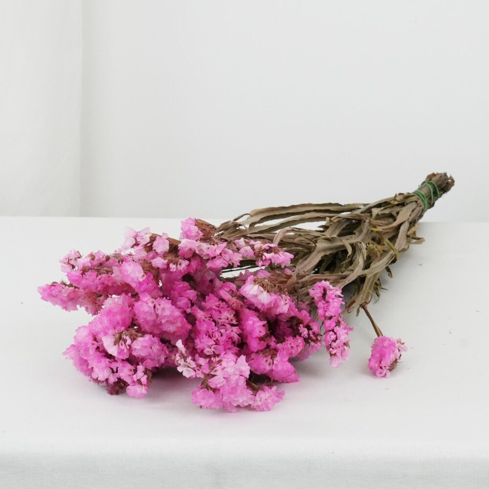 Statice Rosa Limonium - Torkade blommor bunt