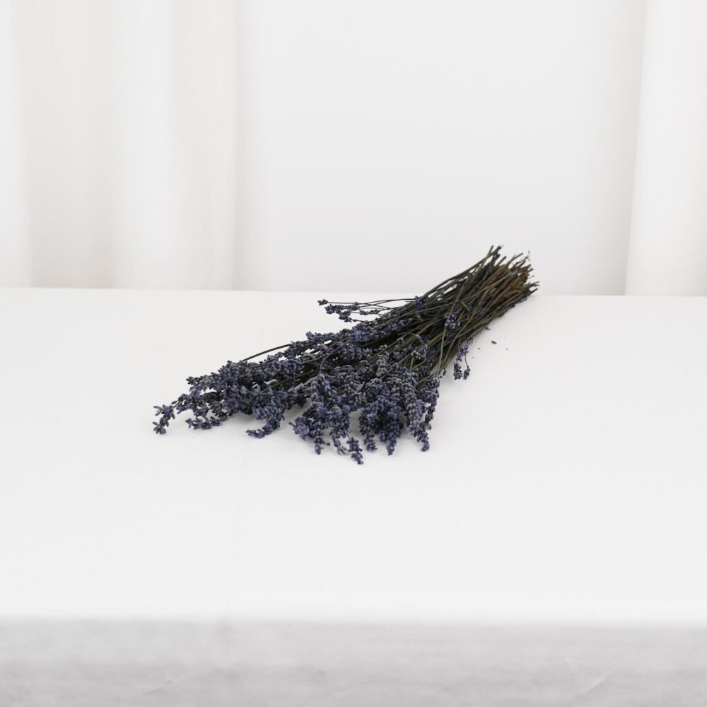 Långtidshållbar Lavendel - konserverade blommor bunt 100g