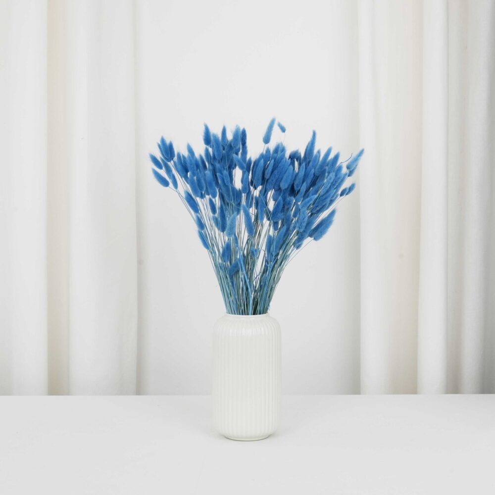 Blå torkad Lagurus (harstjärt) - Torkade blommor bunt 100g