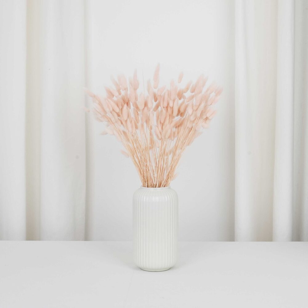 Pastellrosa torkad Lagurus (harstjärt) - Torkade blommor bunt