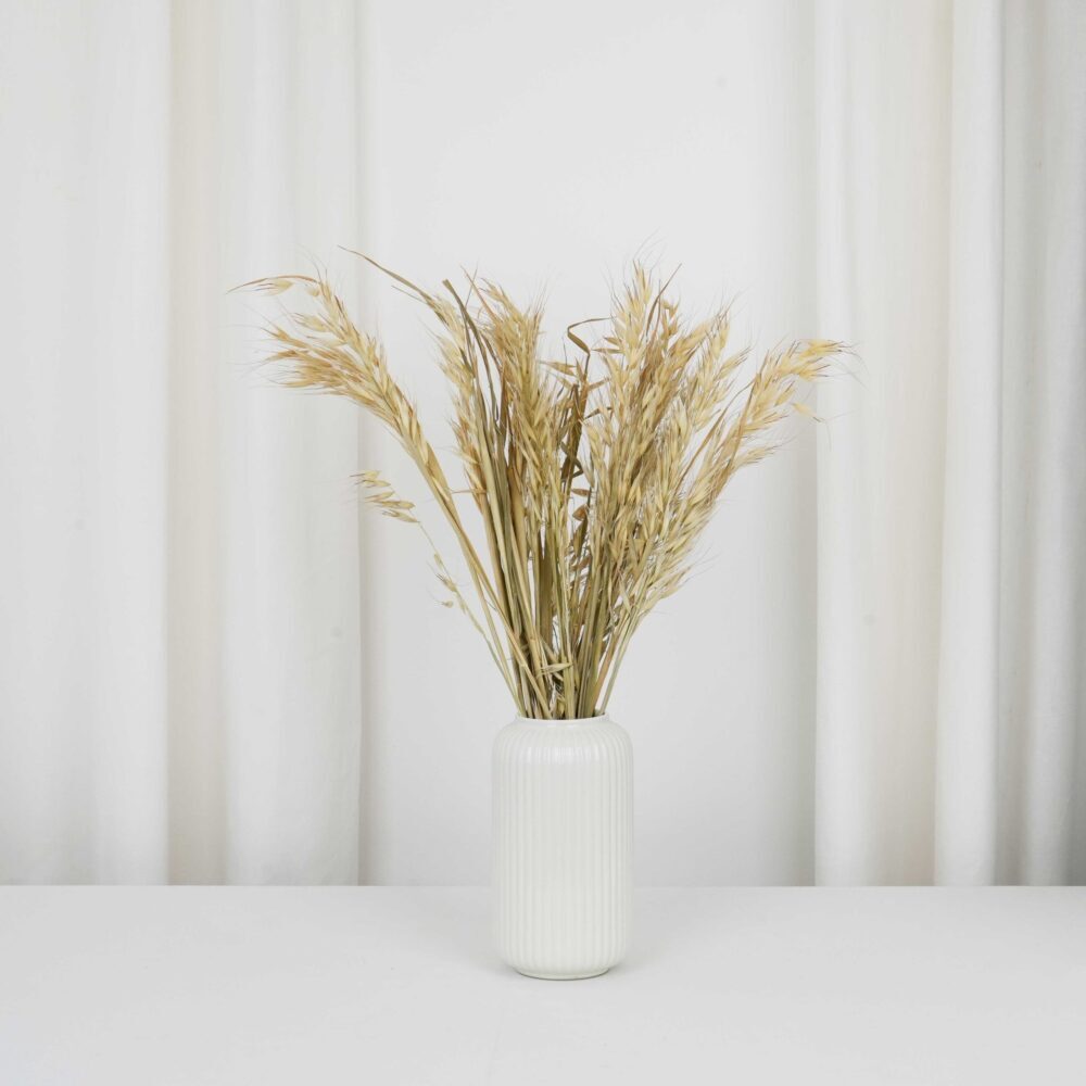 Torkad havre naturlig - Avena Selvatica Naturale
