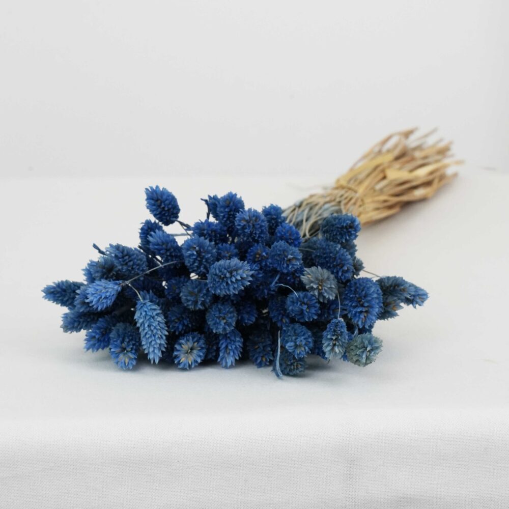 Torkad Blå Phalaris (kanariegräs) - Torkade blommor bunt 90g