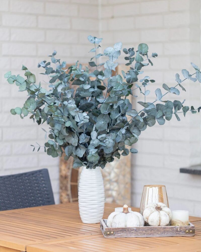 ÄKTA Eukalyptusgrenar Cinerea grön - Bevarad och Långvarig