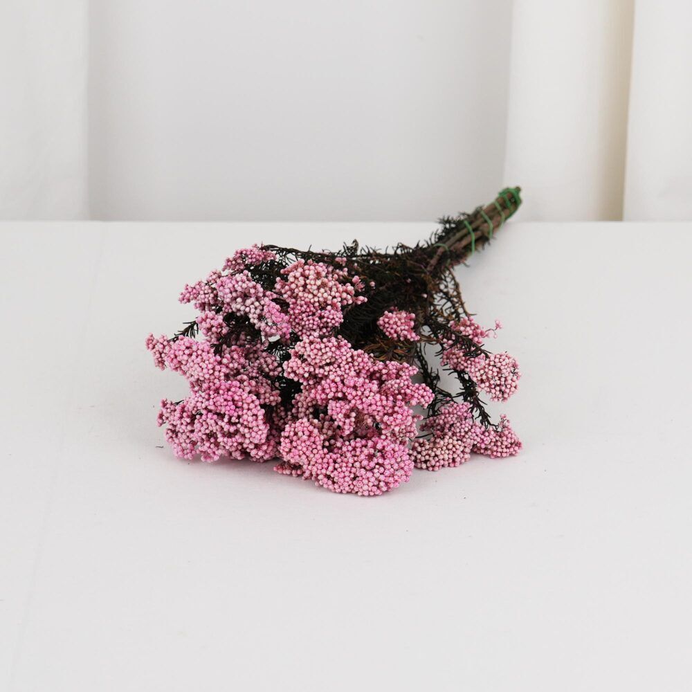 Diosmi Risblomma Rosa - Långtidshållbar risblomsbukett